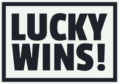 LuckyWins VIP casino kundestøtte